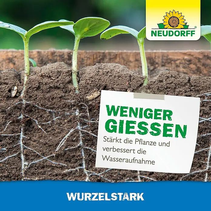 Neudorff Wurzelaktivator MyccoVital Wurzelstark - 36 g - Neudorff-Produktwerbung: Bild von jungen Pflanzen, die aus der Erde sprießen, mit dem Slogan „Weniger giessen. Wurzelstark.“