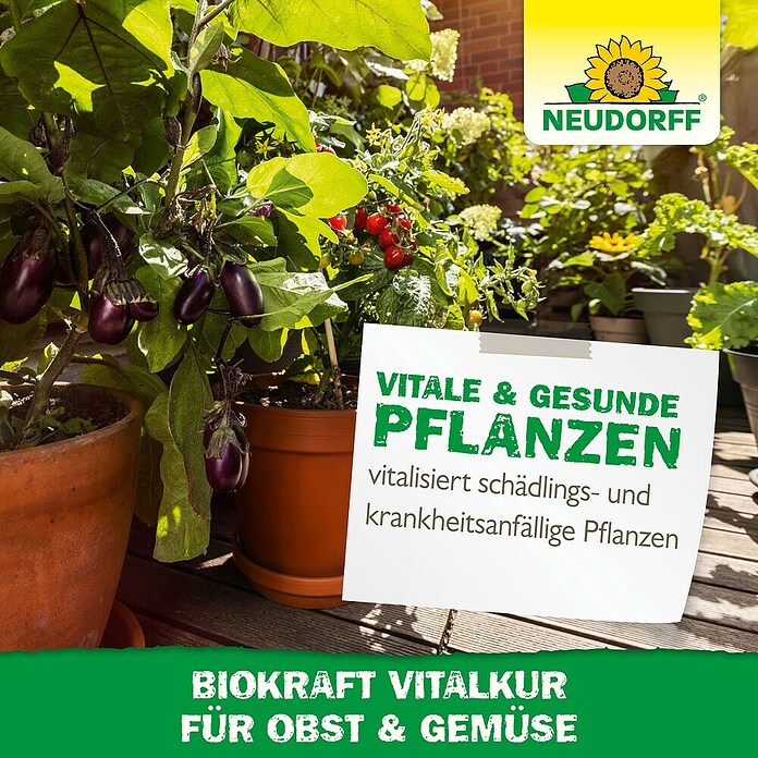 Neudorff BioKraft Vitalkur für Obst & Gemüse (300 ml)