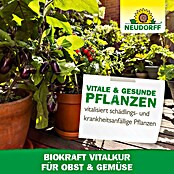 Neudorff BioKraft Vitalkur für Obst & Gemüse (300 ml)