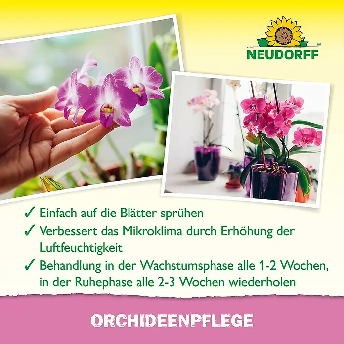 Neudorff Blattpflege Orchideen - 250 ml - Neudorff Orchideenpflege: Tipps zur Sprühbehandlung für verbesserte Luftfeuchtigkeit und optimales Mikroklima für Orchideen.
