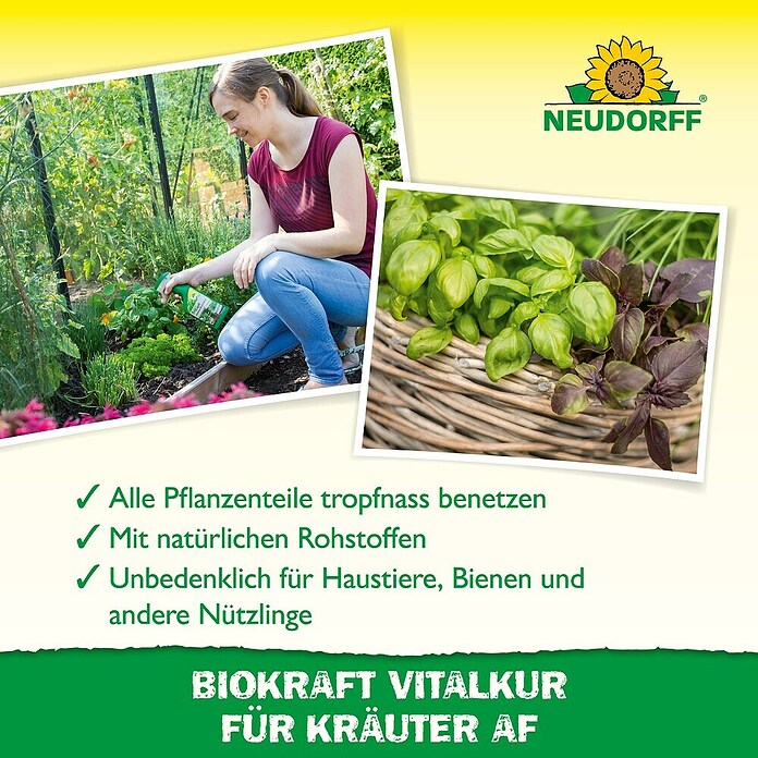 Neudorff BioKraft Vitalkur AF für Kräuter (500 ml)