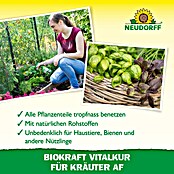 Neudorff BioKraft Vitalkur AF für Kräuter (500 ml)