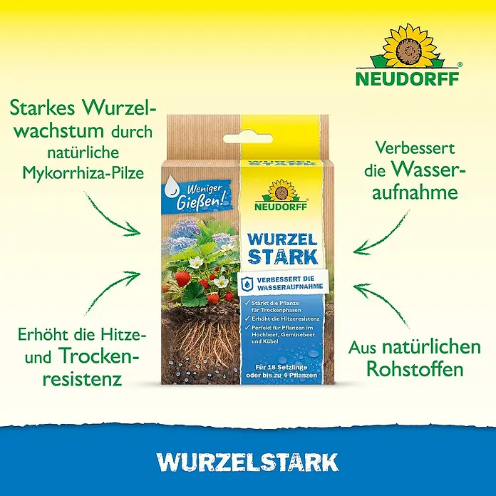 Neudorff Wurzelaktivator MyccoVital Wurzelstark - 36 g - Neudorff Wurzel Stark: Fördert das Wurzelwachstum mit natürlichen Mykorrhiza-Pilzen für eine verbesserte Wasseraufnahme und Hitzeresistenz.