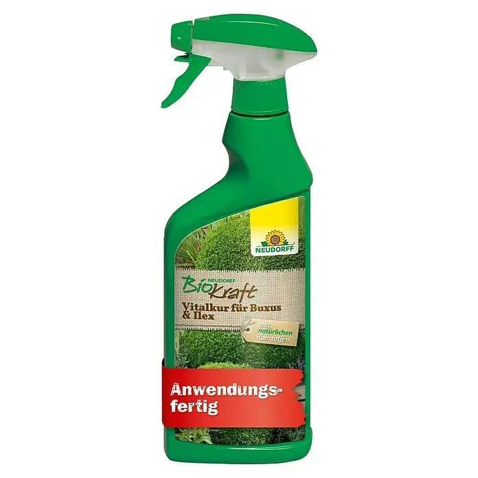 Neudorff BioKraft Vitalkur AF für Buxus & Ilex - 500 ml - Neudorff BioKraft Vitalkur für Buxus & Ilex im grünen Sprühflasche. Anwendung ist fertig.