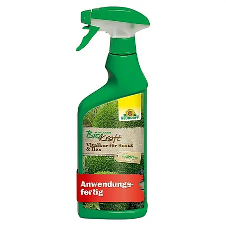 Neudorff BioKraft Vitalkur AF für Buxus & Ilex
