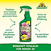 Neudorff BioKraft Vitalkur AF für Rosen (500 ml)