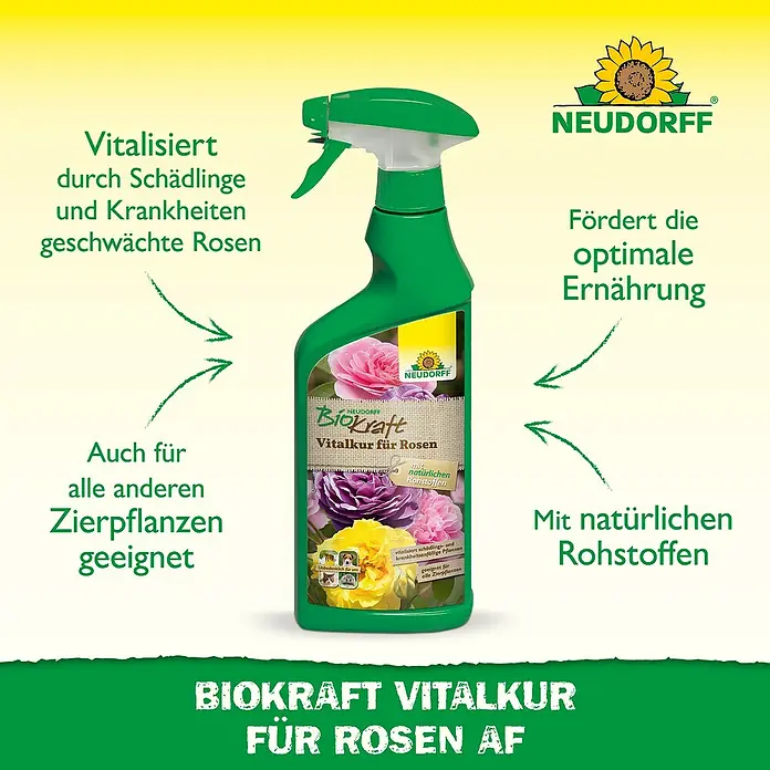 Neudorff BioKraft Vitalkur AF für Rosen - 500 ml - Neudorff Biokraft Vitalkur für Rosen AF: Vitalisiert geschwächte Rosen, fördert optimale Ernährung mit natürlichen Rohstoffen, auch für Zierpflanzen.