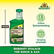 Neudorff BioKraft Vitalkur Für Buxus & Ilex (300 ml)