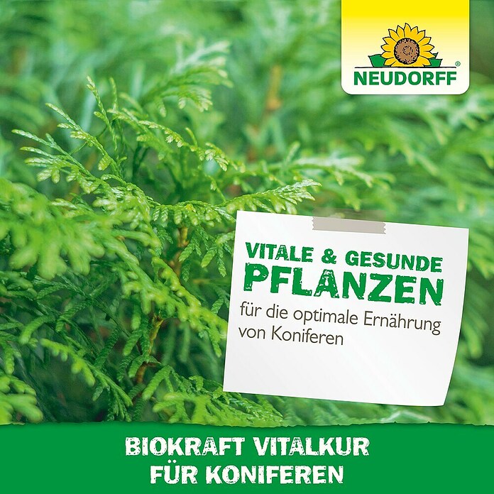 Neudorff BioKraft Vitalkur Für Koniferen (300 ml)