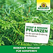 Neudorff BioKraft Vitalkur Für Koniferen (300 ml)