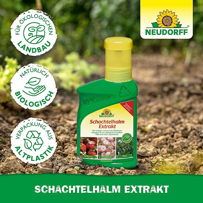 Neudorff Pflanzenstärkungsmittel Schachtelhalm Extrakt (270 g) | BAUHAUS
