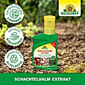 Neudorff Pflanzenstärkungsmittel Schachtelhalm Extrakt (270 g) | BAUHAUS