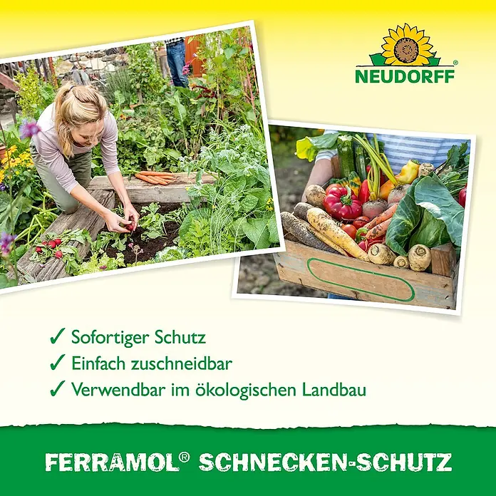 Neudorff Ferramol Schneckenband - 8 m - Bild einer Frau im Garten mit Ferramol Schnecken-Schutz, um Gemüse zu schützen.