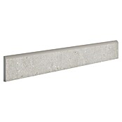 Zócalo cerámico Amira Evo (7,2 cm x 60 mm, Dark, Mate, 18 pzs.) | BAUHAUS