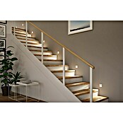 Paulmann Zidna LED svjetiljka Tsaro Leader  (D x Š x V: 3,6 x 8 x 8 cm, Topla bijela, Bijela mat) | BAUHAUS
