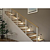 Paulmann Zidna LED svjetiljka Tsaro Follower  (1 W, D x Š x V: 3,6 x 8 x 8 cm, Crna mat, Topla bijela) | BAUHAUS