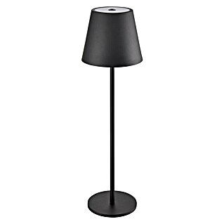 Accu-tafellamp Fleslamp 3-in-1 (3,5 W, Zwart, Meerkleurig)
