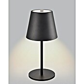 Akku-Tischleuchte Flaschenleuchte 3-in-1 (3,5 W, Schwarz, Mehrfarbig) | BAUHAUS