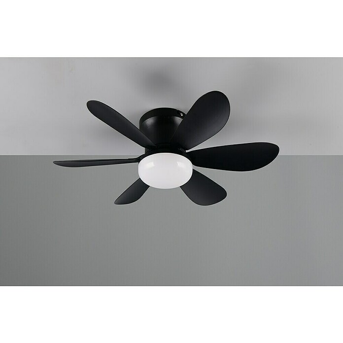 Trio Lighting Ventilador de techo Lund (Negro, 53 cm, 12 W, Blanco cálido) | BAUHAUS
