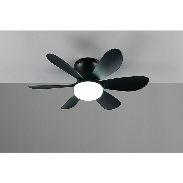Trio Lighting Ventilador de techo Lund (Negro, 53 cm, 12 W, Blanco cálido) | BAUHAUS