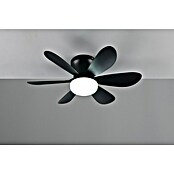 Trio Lighting Ventilador de techo Lund (Negro, 53 cm, 12 W, Blanco cálido) | BAUHAUS