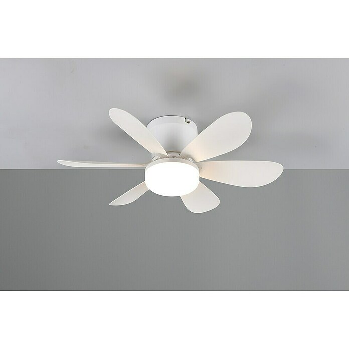 Trio Lighting Ventilador de techo Lund (Blanco, 53 cm, 12 W, Blanco cálido) | BAUHAUS
