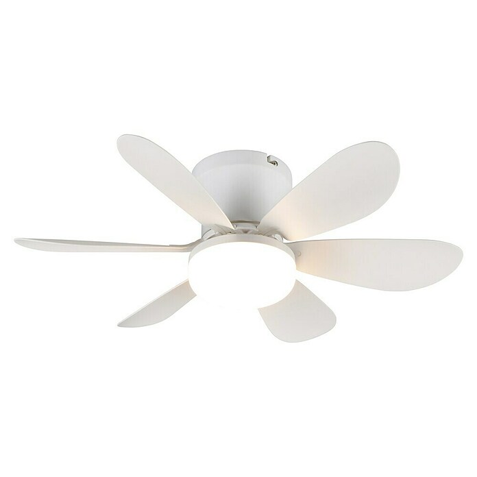 Trio Lighting Ventilador de techo Lund (Blanco, 53 cm, 12 W, Blanco cálido) | BAUHAUS