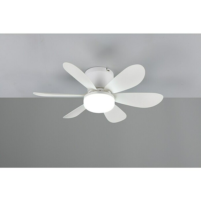 Trio Lighting Ventilador de techo Lund (Blanco, 53 cm, 12 W, Blanco cálido) | BAUHAUS
