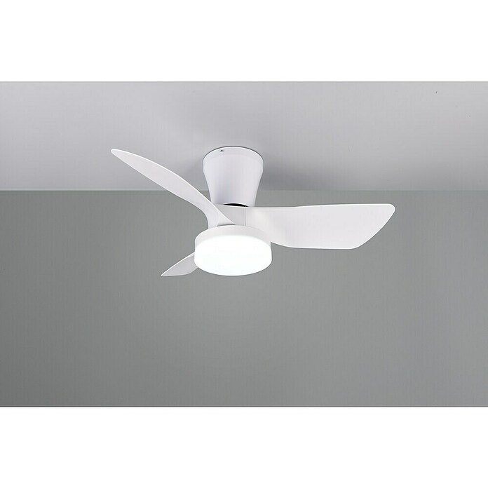 Trio Leuchten Stropni ventilator Randers  (Bijela, 76 cm, 20 W, Topla bijela) | BAUHAUS