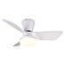 Trio Lighting Ventilador de techo Randers 