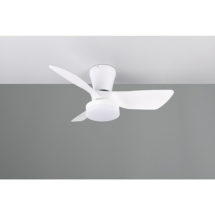 Trio Leuchten Stropni ventilator Randers  (Bijela, 76 cm, 20 W, Topla bijela) | BAUHAUS