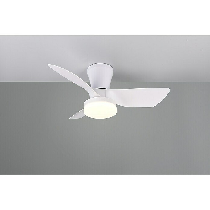 Trio Leuchten Stropni ventilator Randers  (Bijela, 76 cm, 20 W, Topla bijela) | BAUHAUS