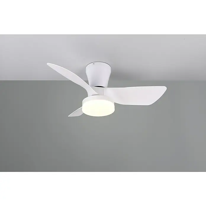 Trio Lighting Ventilador de techo Randers - Blanco, 76 cm, 20 W, Blanco cálido - Ventilador de techo con iluminación. El moderno ventilador de techo en blanco con lámpara integrada proporciona un clima agradable.