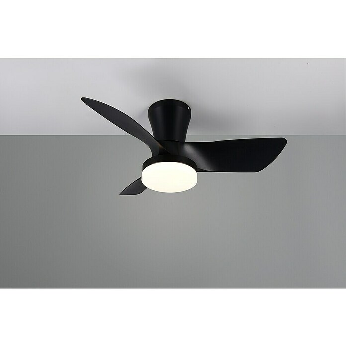 Trio Lighting Ventilador de techo Randers (Negro, 76 cm, 20 W, Blanco cálido) | BAUHAUS