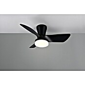 Trio Lighting Ventilador de techo Randers (Negro, 76 cm, 20 W, Blanco cálido) | BAUHAUS