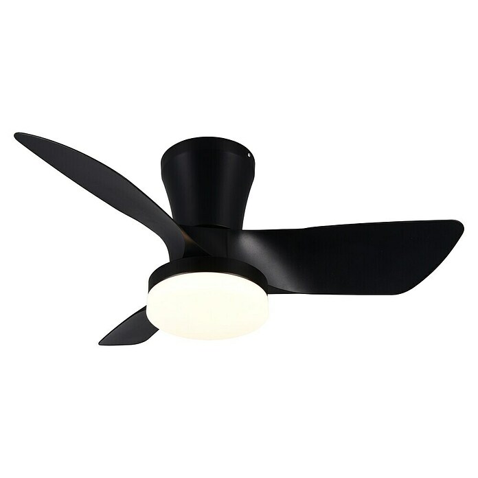Trio Lighting Ventilador de techo Randers (Negro, 76 cm, 20 W, Blanco cálido) | BAUHAUS