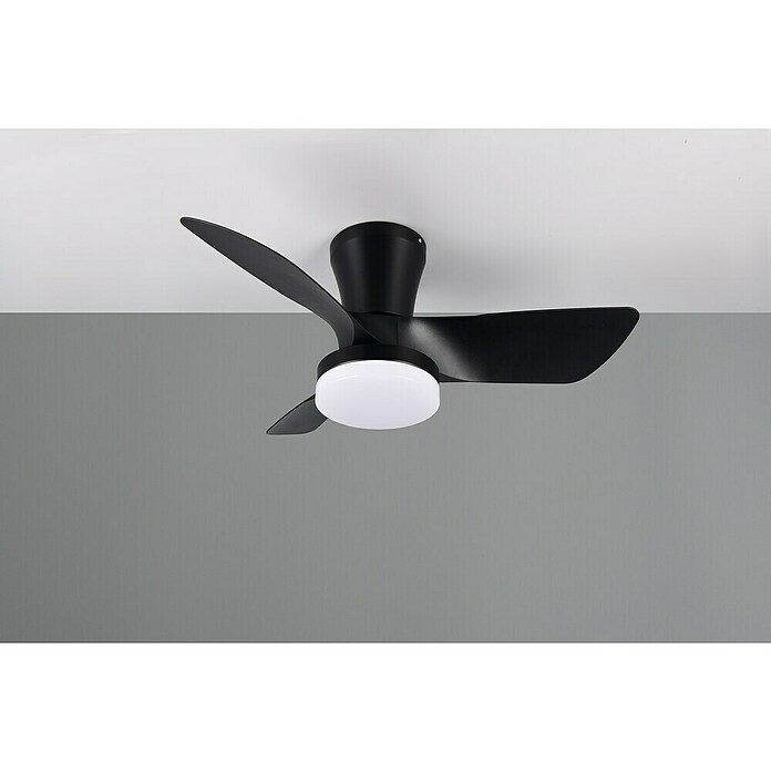 Trio Lighting Ventilador de techo Randers (Negro, 76 cm, 20 W, Blanco cálido) | BAUHAUS