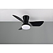 Trio Lighting Ventilador de techo Randers (Negro, 76 cm, 20 W, Blanco cálido) | BAUHAUS