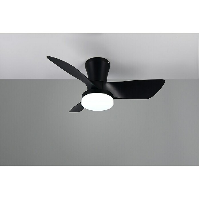 Trio Lighting Ventilador de techo Randers (Negro, 76 cm, 20 W, Blanco cálido) | BAUHAUS