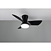 Trio Lighting Ventilador de techo Randers (Negro, 76 cm, 20 W, Blanco cálido) | BAUHAUS