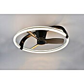 Trio Lighting Ventilador de techo Stockholm (Negro, 73 cm, 37 W, Blanco cálido) | BAUHAUS