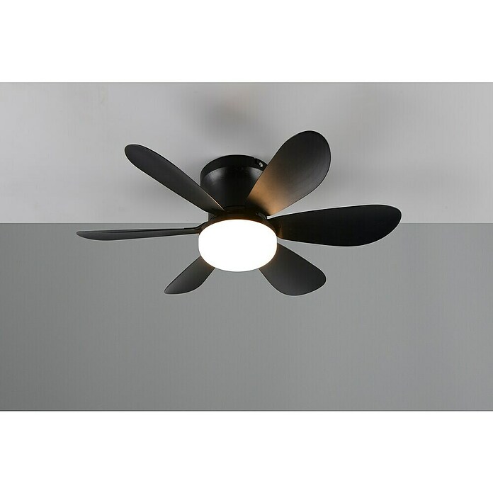 Trio Lighting Ventilador de techo Lund (Negro, 53 cm, 12 W, Blanco cálido) | BAUHAUS