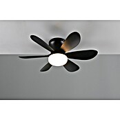 Trio Lighting Ventilador de techo Lund (Negro, 53 cm, 12 W, Blanco cálido) | BAUHAUS