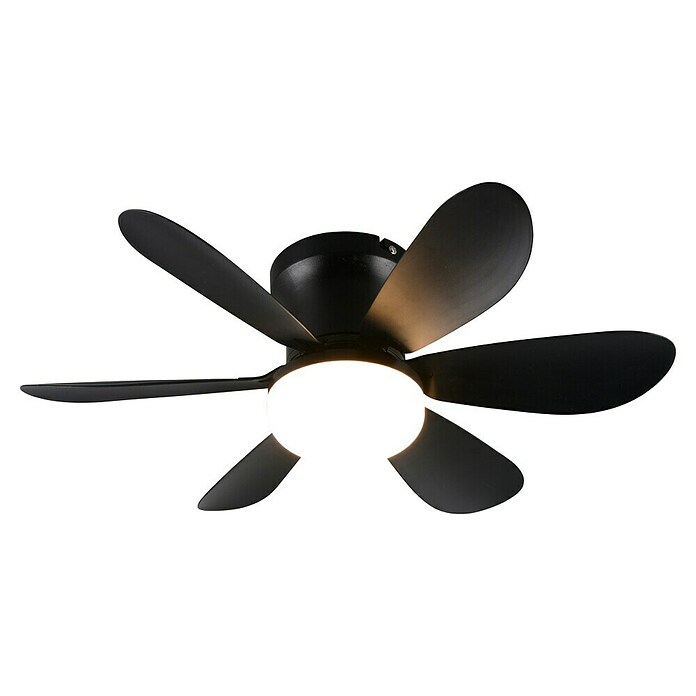 Trio Lighting Ventilador de techo Lund (Negro, 53 cm, 12 W, Blanco cálido) | BAUHAUS
