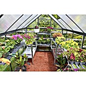 Palram Gewächshaus Hybrid (3,06 x 2,08 x 1,85 m, 0,7 mm, Polycarbonat, Anthrazit)