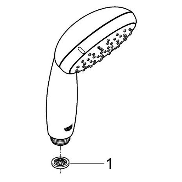Grohe Douchekop Vitalio Go 100 (Aantal functies: 1 st., Diameter: 10 cm, Chroom) | BAUHAUS