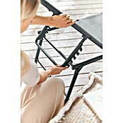Gartenliege (L x B x H: 181 x 54,5 x 33,5 cm, Dunkelgrau, Stahl, Klappbar) | BAUHAUS
