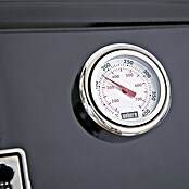Weber Gasgrill Spirit E-210 (Grillfläche (B x T): 52 x 44 cm, 7,8 kW, Anzahl Brenner: 2 Stk.) | BAUHAUS