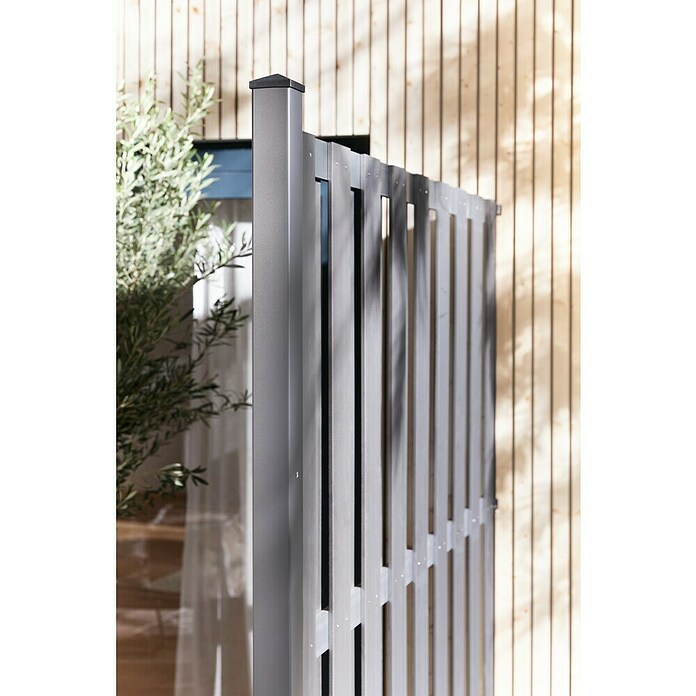 Sichtschutzelement Palma (B x H: 180 x 180 cm, WPC, Anthrazit) | BAUHAUS