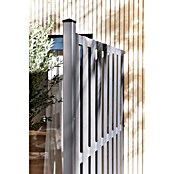 Sichtschutzelement Palma (B x H: 180 x 180 cm, WPC, Anthrazit) | BAUHAUS